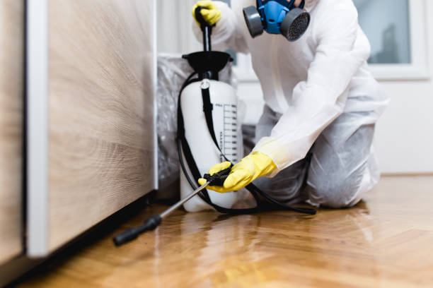 Best Affordable Pest Control Services  in Lake Butler, FL