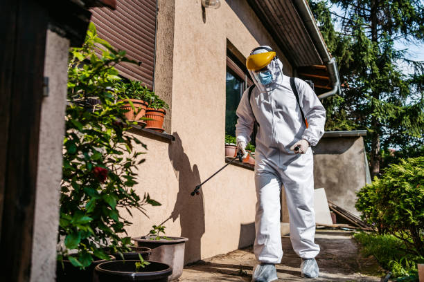 Best Mosquito Control Services  in Lake Butler, FL