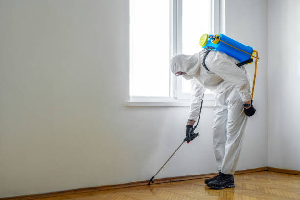 Professional Pest Control in Lake Butler, FL