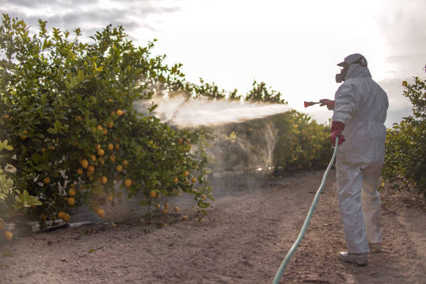 Best Ant Control Services  in Lake Butler, FL
