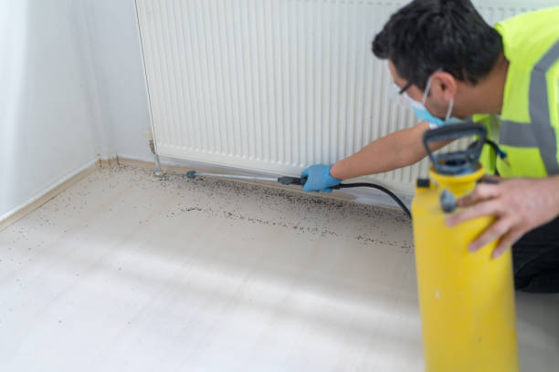 Best Pest Prevention Services  in Lake Butler, FL